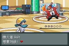 [GBA]水晶复刻插图2